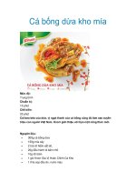 Cá bống dừa kho mía docx