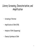 Library Screening, Characterization, and Amplification