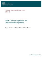 Bank Leverage Regulation and Macroeconomic Dynamics pptx