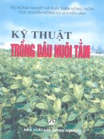 Kỹ thuật trồng dâu nuôi tằm pdf