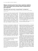 Báo cáo Y học: Mitogen-activated protein kinase kinase negatively modulates ciliary neurotrophic factor-activated choline acetyltransferase gene expression pdf