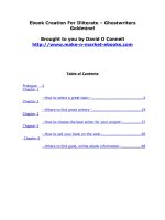 Ebook Creation For Illiterate – Ghostwriters Goldmine! doc