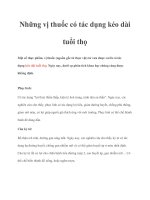 Những vị thuốc có tác dụng kéo dài tuổi thọ potx