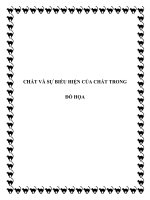 CHẤT VÀ SỰ BIỂU HIỆN CỦA CHẤT TRONG ĐỒ HỌA MỸ THUẬT pdf