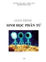 GIÁO TRÌNH SINH HỌC PHÂN TỬ - CHƯƠNG 2: SINH HỌC PHÂN TỬ ppt