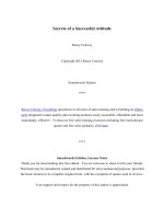 Secrets of a Successful Attitude potx