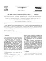 Tiny sio2 nano wires synthesized on si (1 1 1) wafer