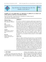 NGHIÊN CỨU XÁC ĐỊNH NHU CẦU PROTEIN VÀ LIPID CỦA CÁ THÁT LÁT CÒM (CHITALA CHITALA) GIAI ĐOẠN GIỐNG pdf