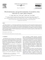 Photoluminescence and growth mechanism of amorphous silica nanowires by vapor phase transport