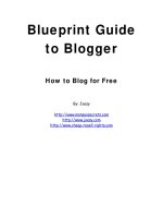 Blueprint Guide to Blogger ppt