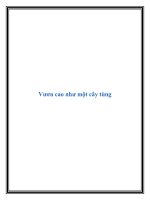 Vươn cao như một cây tùng pot