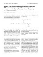 Báo cáo khoa học: Structure of the O polysaccharides and serological classiﬁcation of Pseudomonas syringae pv. porri from genomospecies 4 doc