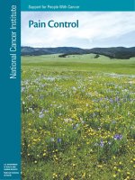 Support for People With Cancer - Pain Control pdf