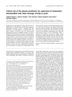 Báo cáo khoa học: Critical role of the plasma membrane for expression of mammalian mitochondrial side chain cleavage activity in yeast pptx