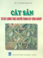 cây sắn từ cây lương thực chuyển thành cây công nghiệp