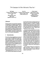 Báo cáo khoa học: 