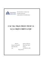 các ma trận phân tích và lựa chọn chiến lược