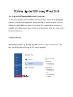 Mã hóa tập tin PDF trong Word 2013 pptx