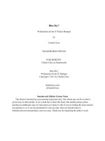 Blue Sky? 98 Questions for the IT Project Manager pptx