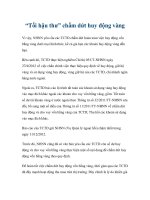 “Tối hậu thư” chấm dứt huy động vàng docx