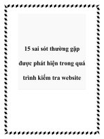 15 sai sót thường gặp được phát hiện trong quá trình kiếm tra website pot