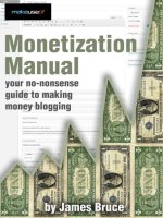 Monetization Manual: Your No - Nonsense Guide to Making Money Blogging