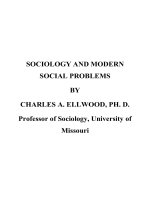 SOCIOLOGY AND MODERN SOCIAL PROBLEMS potx