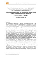 Opinion of the Scientific Panel on food additives, flavourings, processing aids and materials in contact with food (AFC) pptx