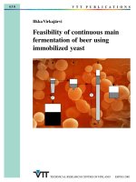 FEASIBILITY OF CONTIMUOUS MAIN FERMENTATION OF BEER USING IMMOBILIZED YEAST pot