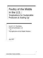 Poultry of the Middle in the U.S.: ‘Implications for Sustainable Producers & Scaling Up’ pdf