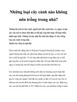 Những loại cây cảnh nào không nên trồng trong nhà? pdf