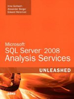 Microsoft SQL Server 2008 Analysis Services Unleashed ppt