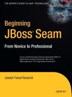 beginning jboss seam, 2007