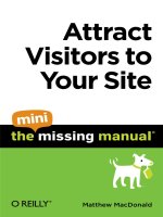 Attract Visitors to Your Site Matthew MacDonald potx
