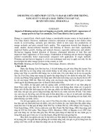 Ảnh hưởng của biện pháp cắt tỉa và bao quản đến sinh trưởng năng suất và mã quả xoài trồng ở xã sặp vạt huyện Yên Châu, tỉnh Sơn La pdf