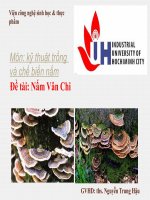 Đề tài: Nấm Vân Chi pptx