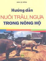 hướng dẫn nuôi trâu ngựa trong nông hộ