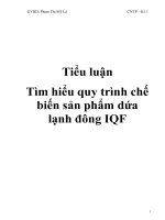 lv tìm hiểu quy trình chế biến sản phẩm dứa lạnh đông iqf