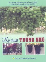 kỹ thuật trồng nho