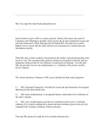 SSL Torn Apart By Ankit Fadia