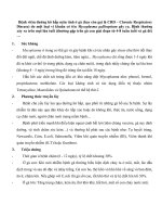 Bệnh viêm đường hô hấp mãn tính ở gà pot