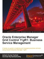 Oracle Enterprise Manager Grid Control 11gR1: Business Service Management pdf