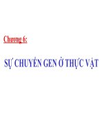 Chương 6: SỰ CHUYỂN GEN Ở THỰC VẬT pptx