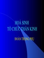 HOÁ SINH - TỔ CHỨC THẦN KINH docx