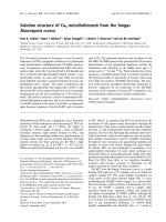 Báo cáo khoa học: Solution structure of Cu6 metallothionein from the fungus Neurospora crassa pptx