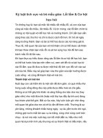 Kỷ luật tích cực và trẻ mẫu giáo: Lỗi lầm & Cơ hội học hỏi docx