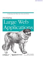 Developing Large Web Applications pdf