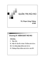 GIÁO TRÌNH QUẢN TRỊ RỦI RO - CHƯƠNG IV pot