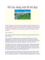 Để xây dựng một đô thị đẹp pot