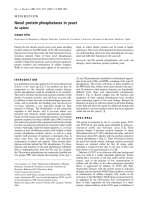 Báo cáo Y học: Novel protein phosphatases in yeast docx